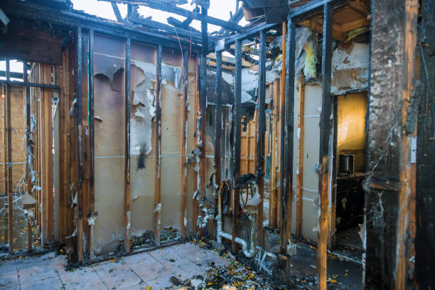 Professional Fire Damage Removal technician working in Leesburg, VA